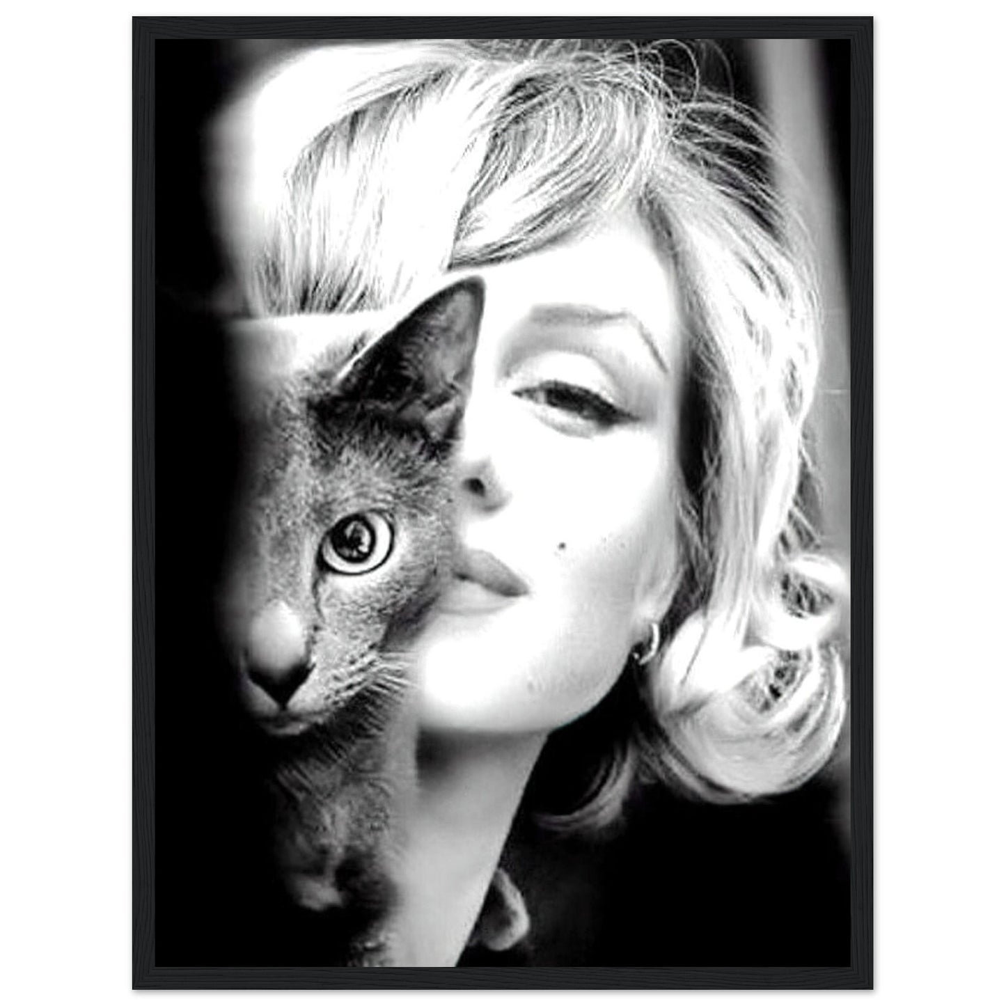 Marilyn Monroe mit ihrer Katze - Retro-Kunst - Poster