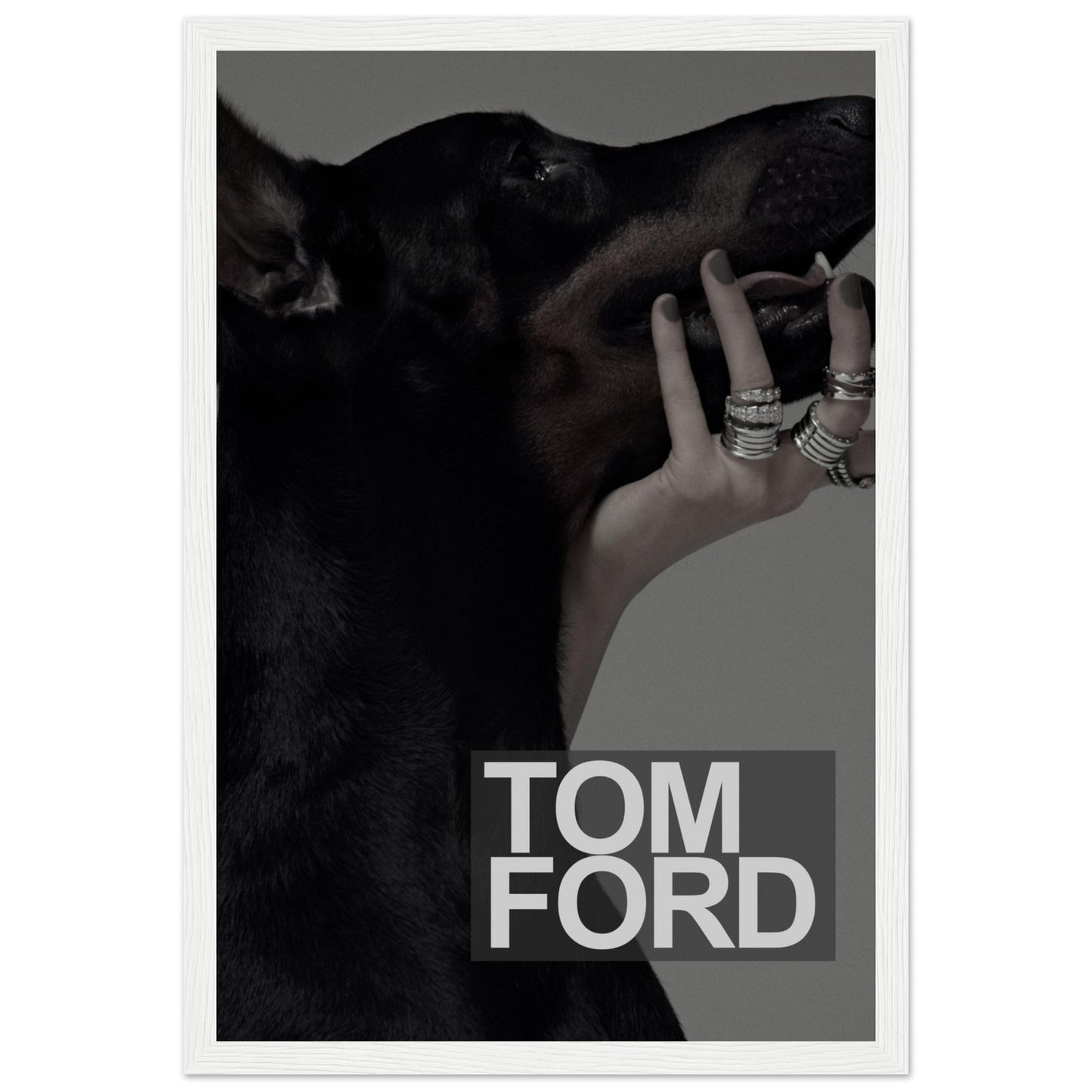 Tom Ford - Black Doberman - Poster