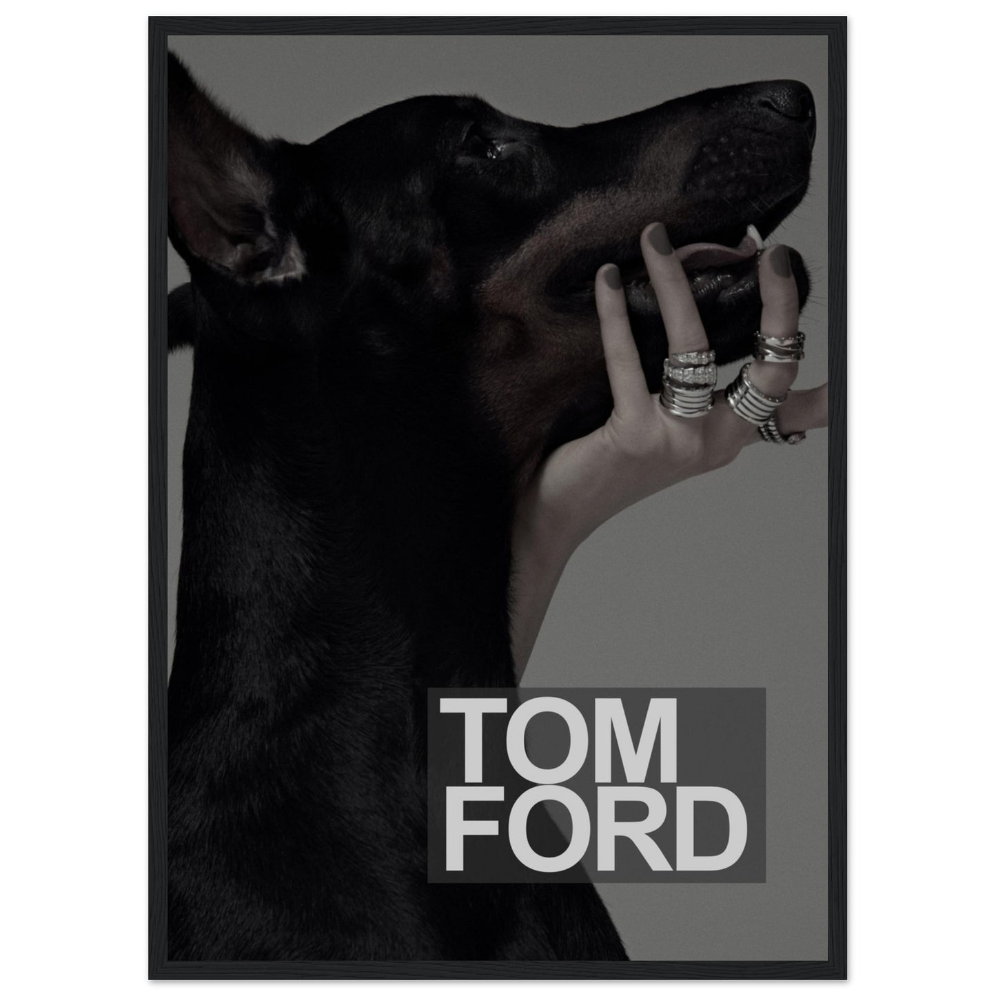 Tom Ford - Black Doberman - Poster