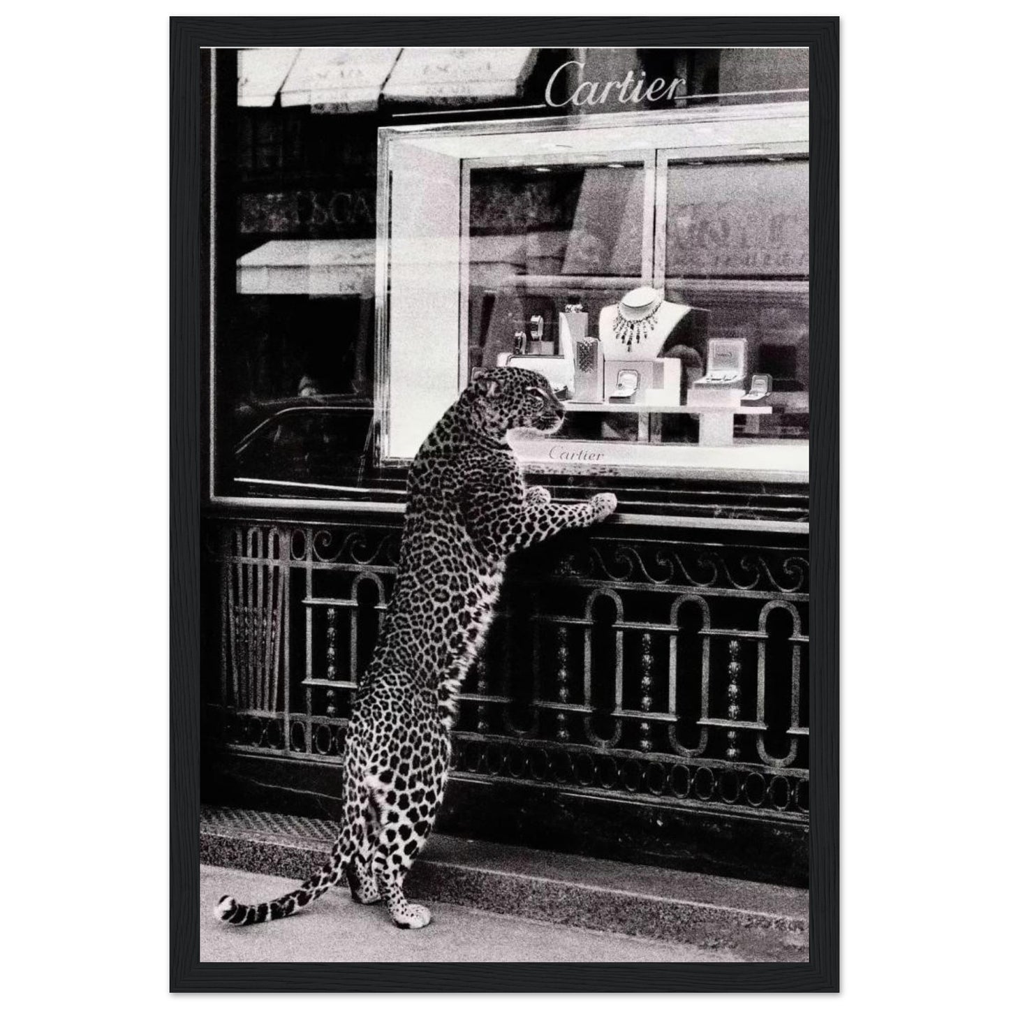 Cartier - Leopard - Poster