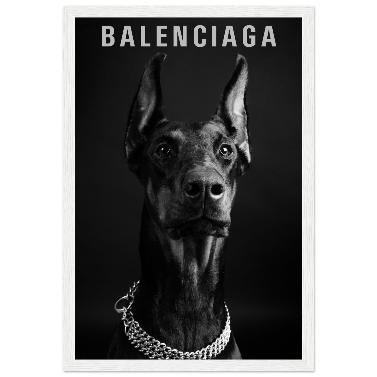 Balenciaga – Schwarzer Dobermann – Poster