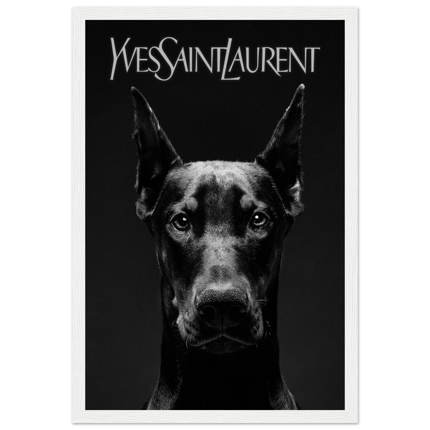 Doberman - Yves Saint Laurent