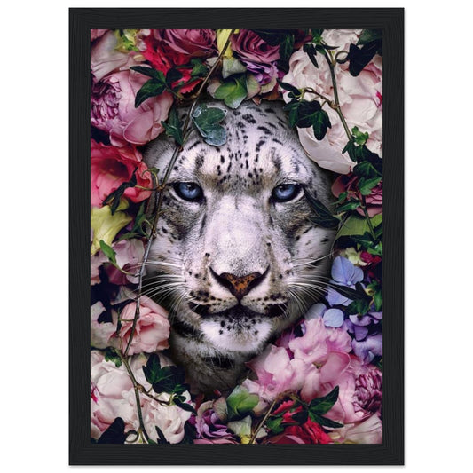 White Tiger - Animal - Poster