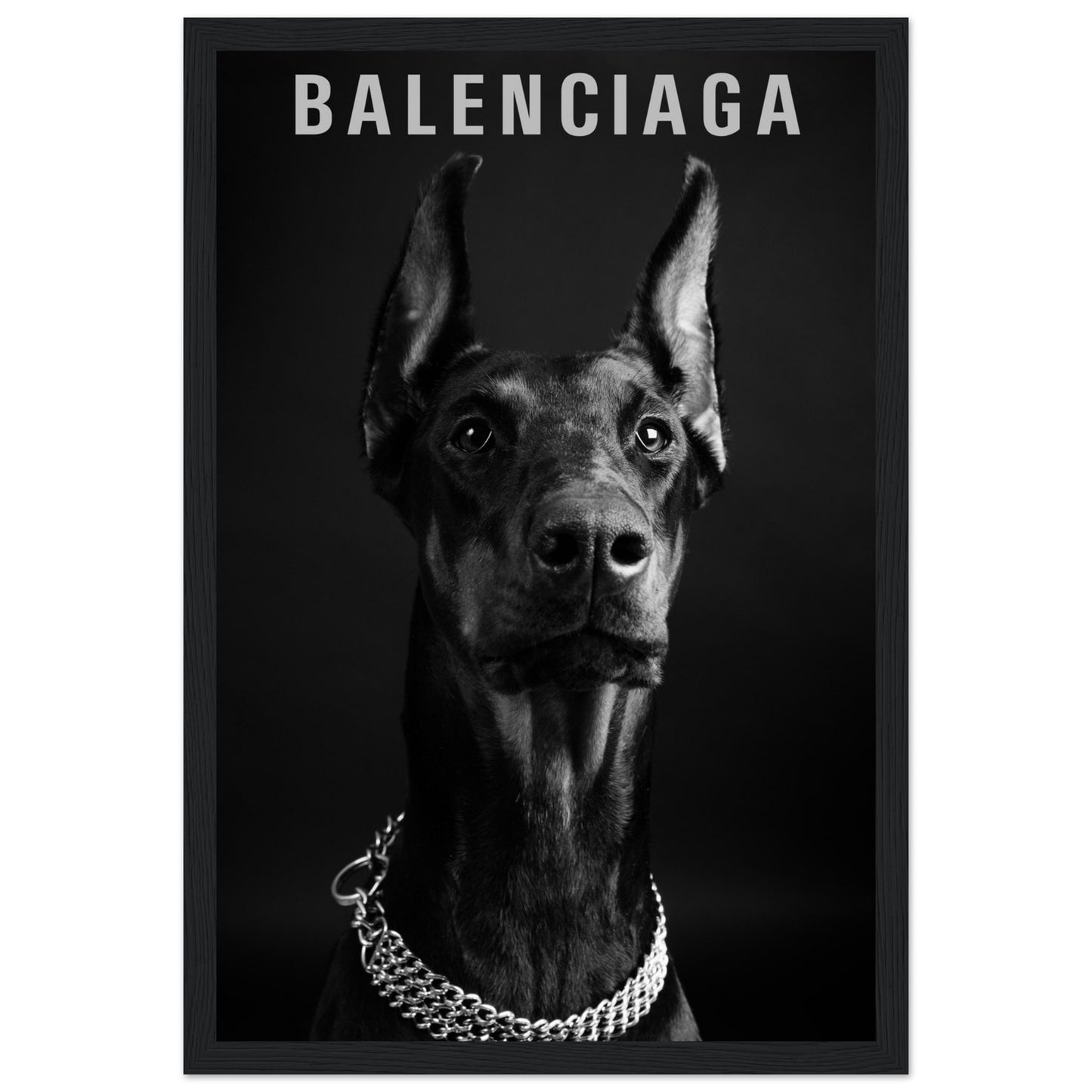 Balenciaga - Black Doberman - Poster