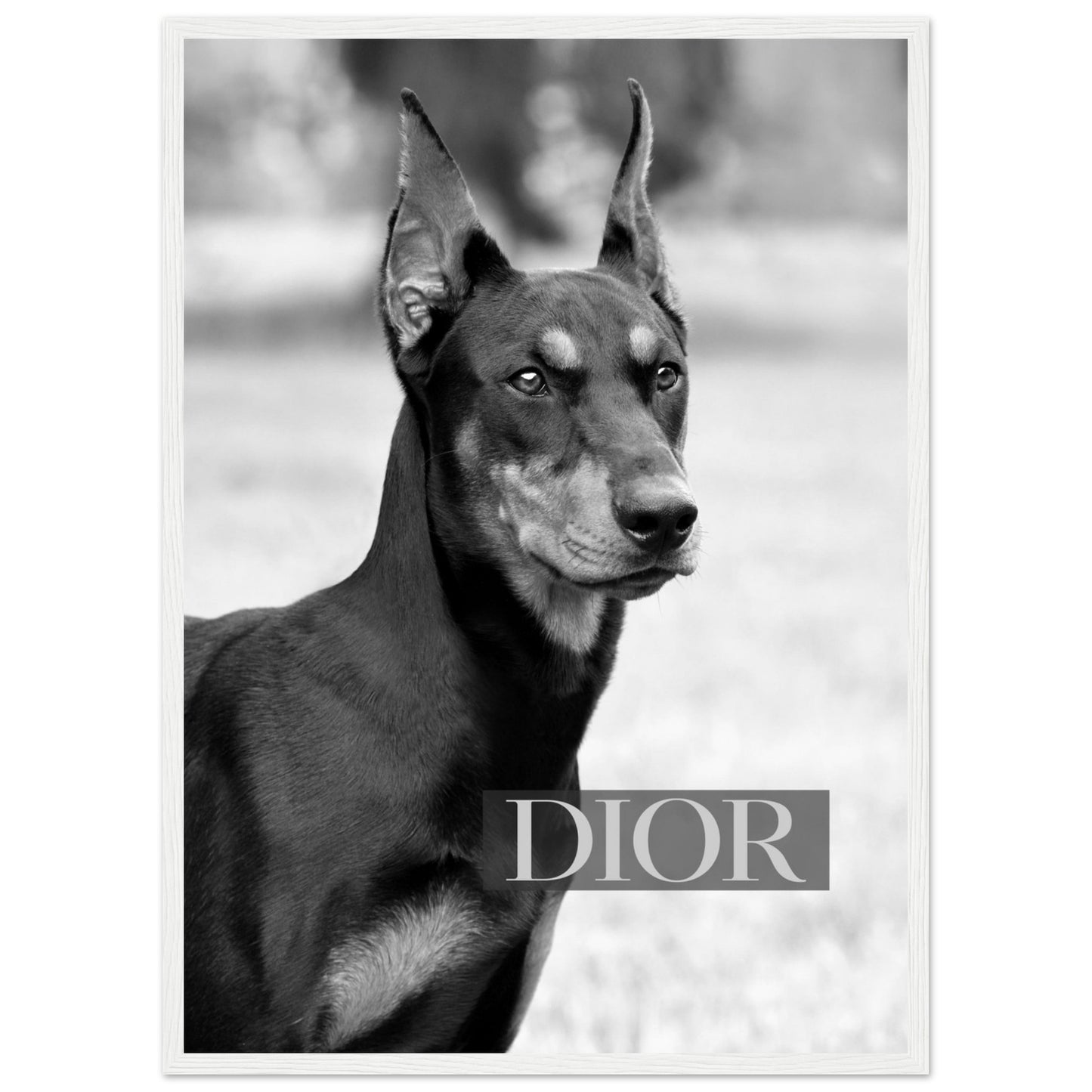 Dior - Black Doberman - Poster