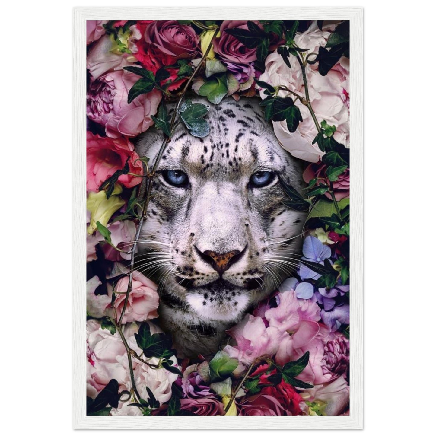 White Tiger - Animal - Poster