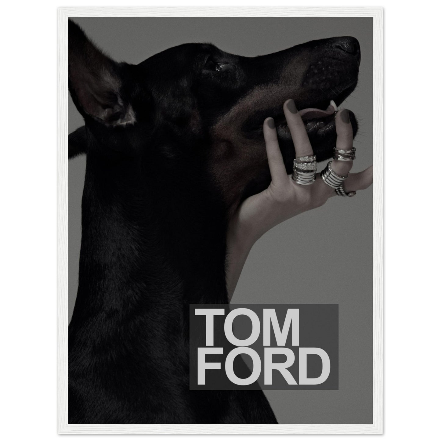 Tom Ford - Black Doberman - Poster