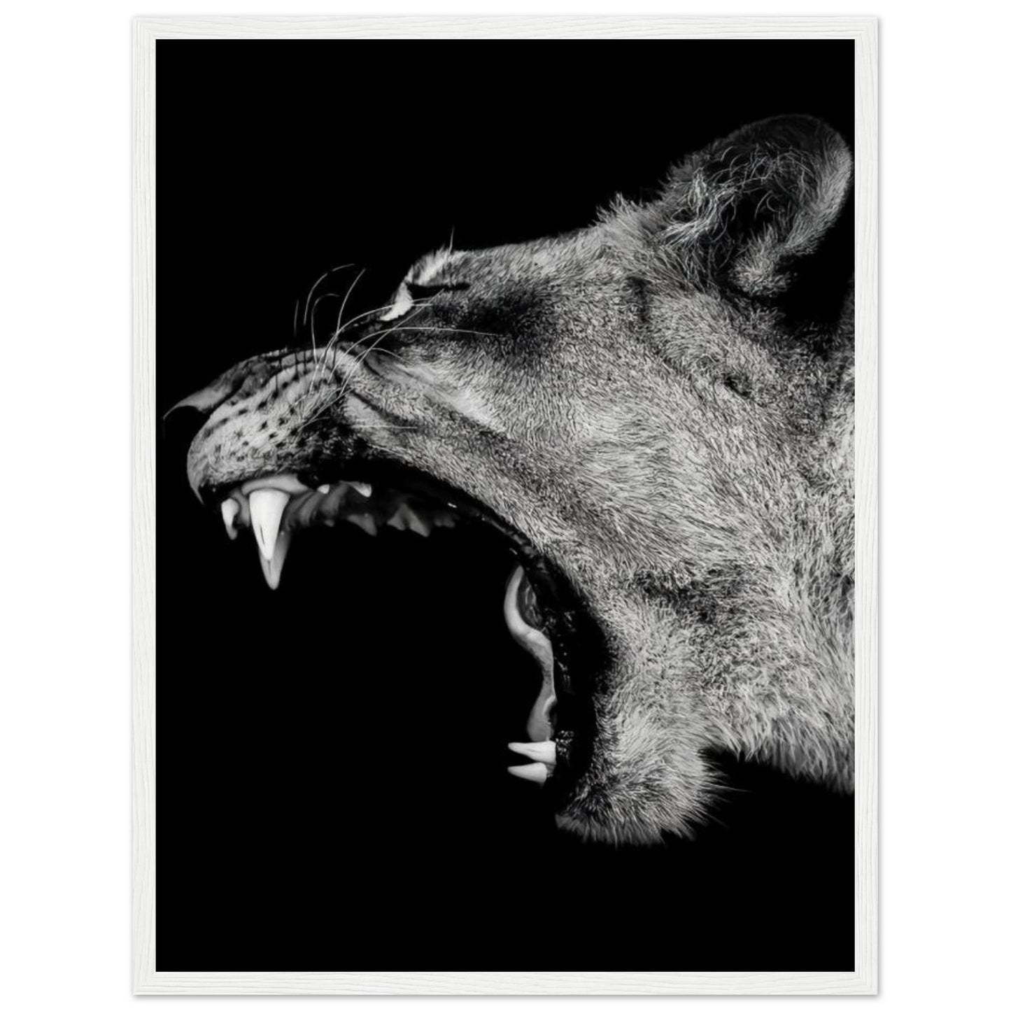 Lioness - Roaring - Poster