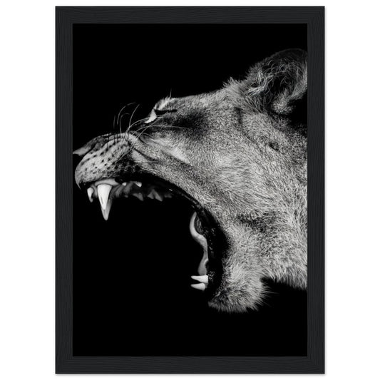 Lioness - Roaring - Poster