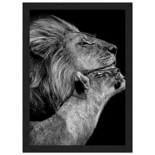 Lions - In Love - Poster