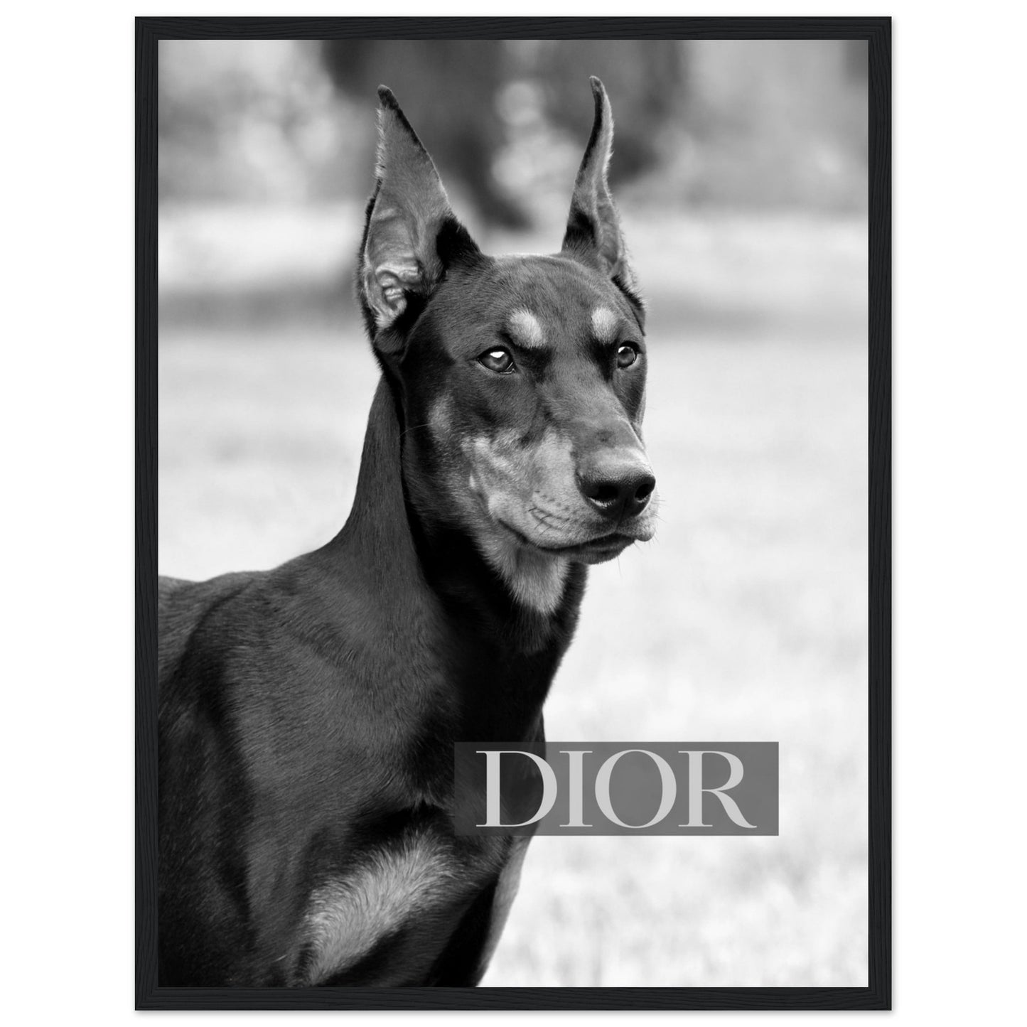 Dior - Black Doberman - Poster