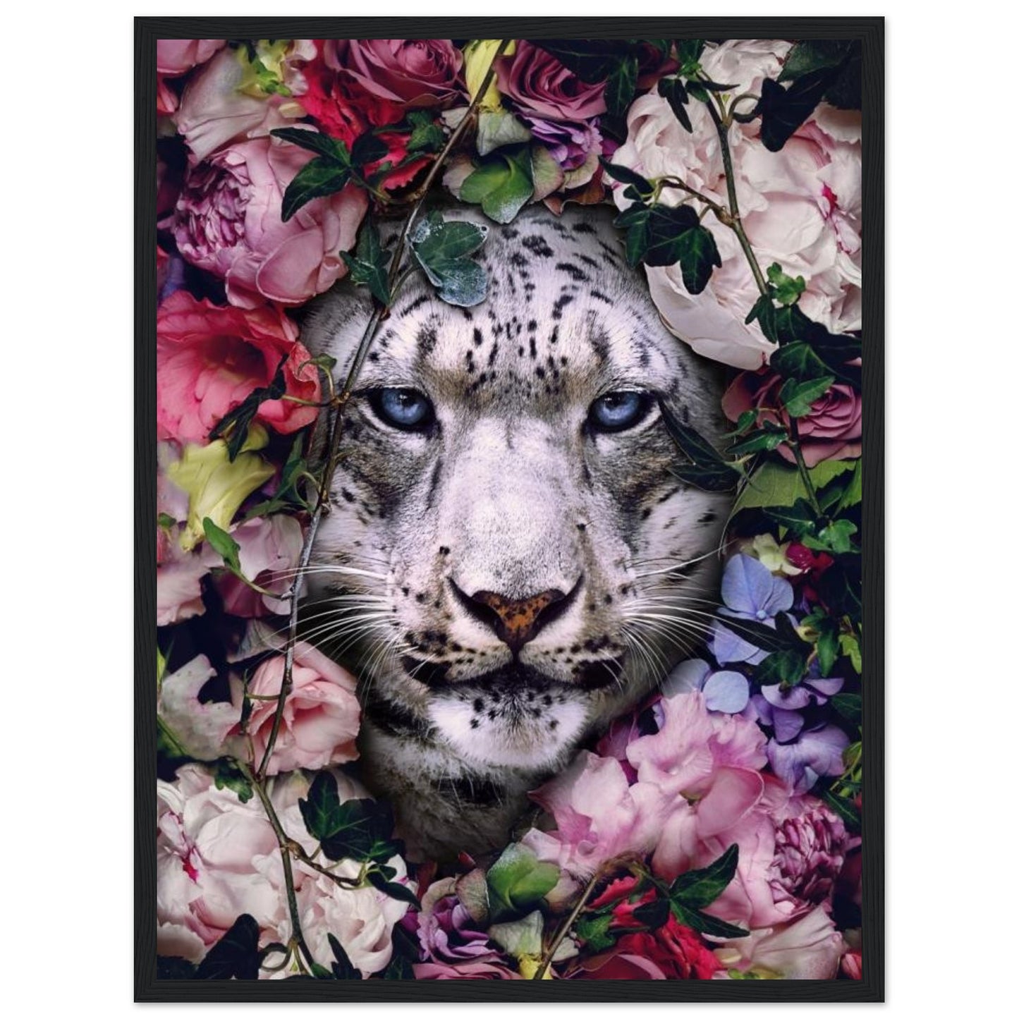 White Tiger - Animal - Poster