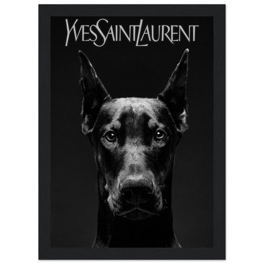 Dobermann - Yves Saint Laurent