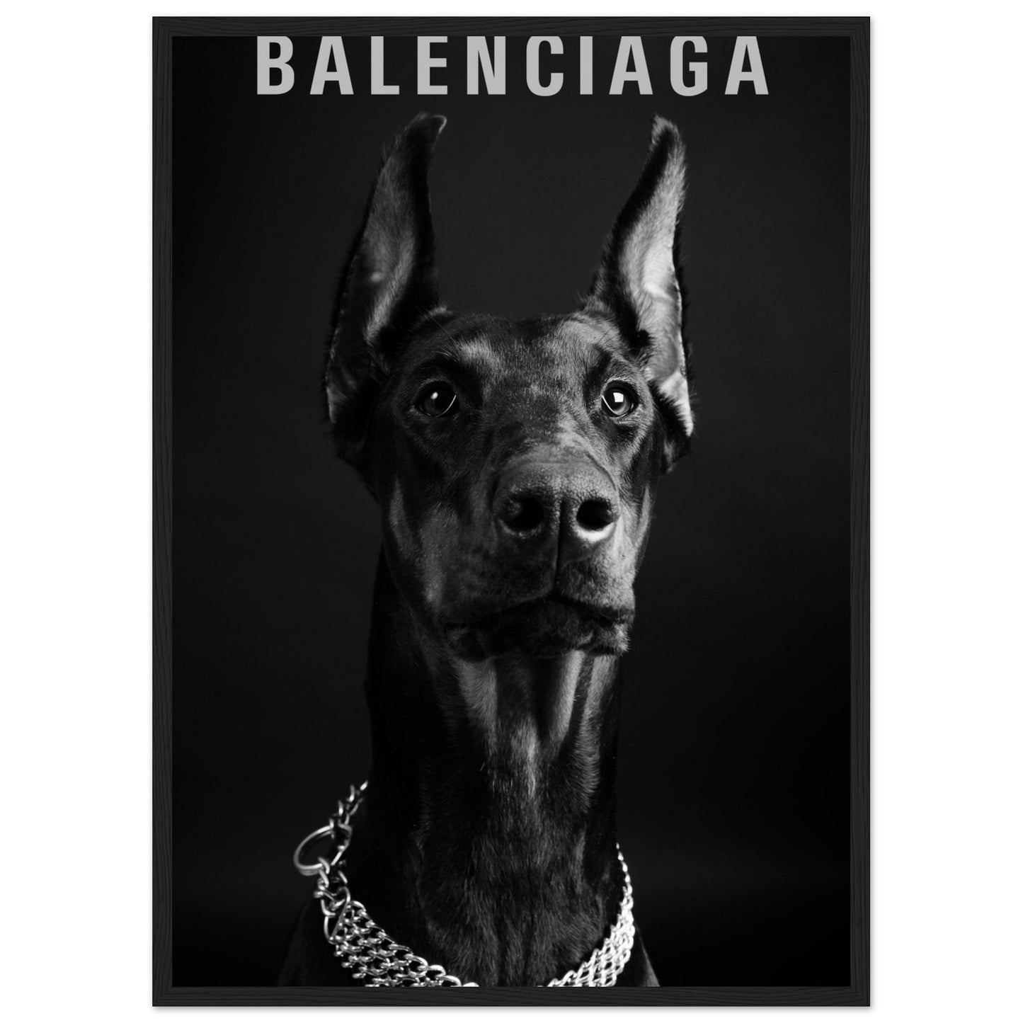 Balenciaga – Schwarzer Dobermann – Poster