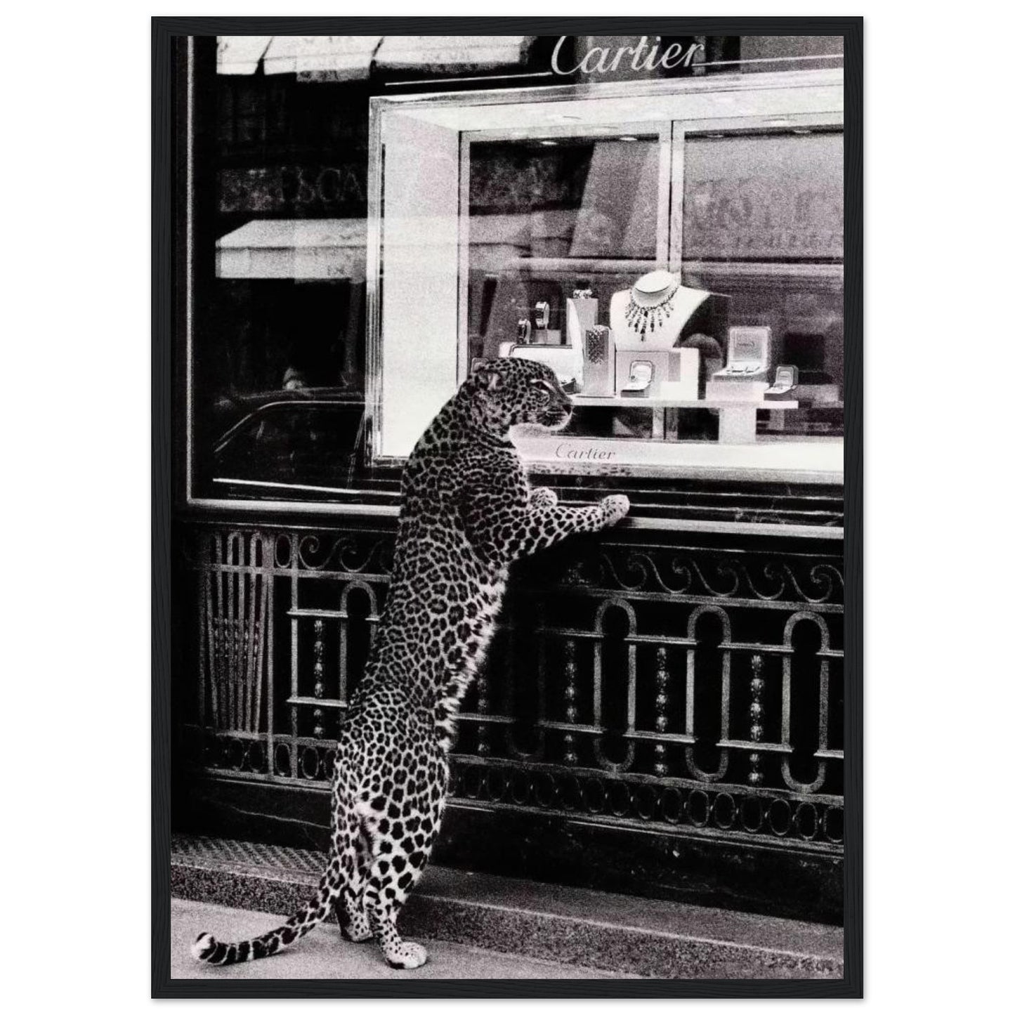 Cartier – Leopard – Poster