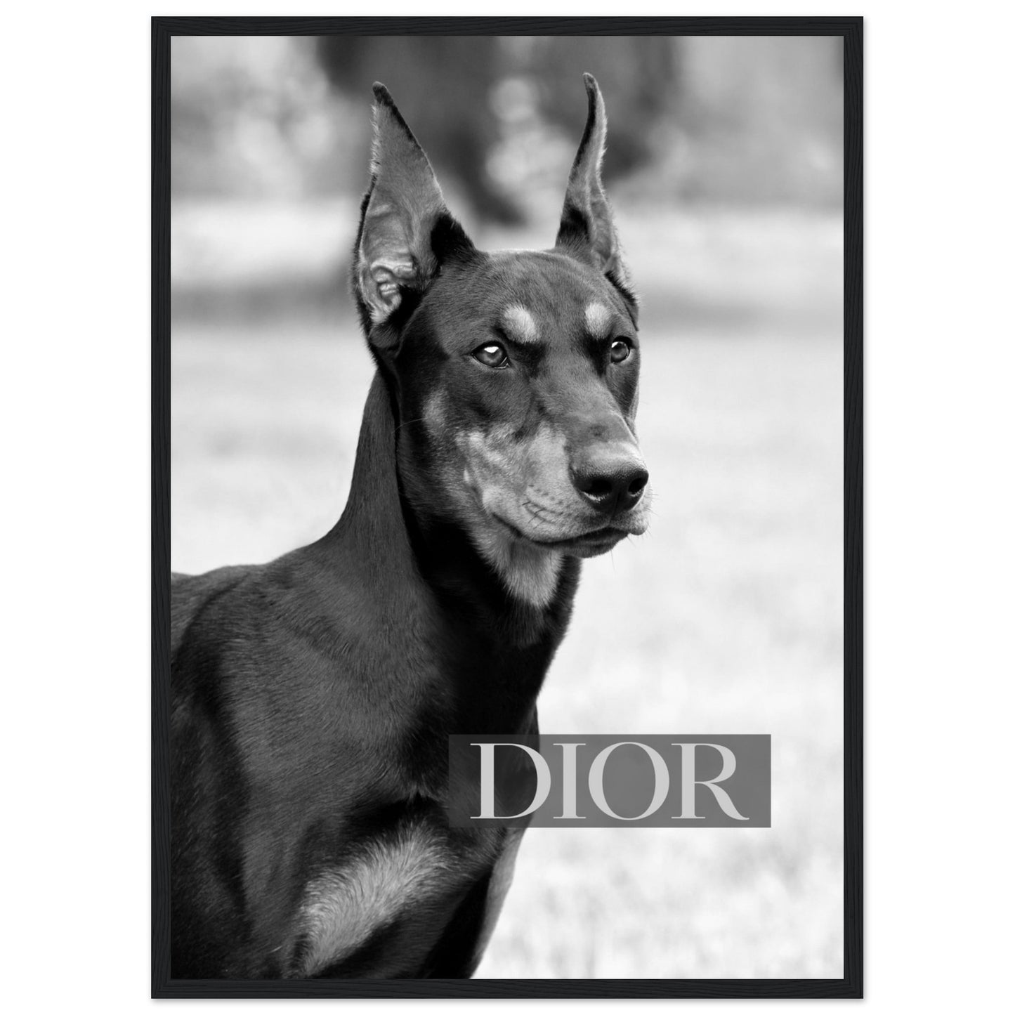 Dior - Black Doberman - Poster