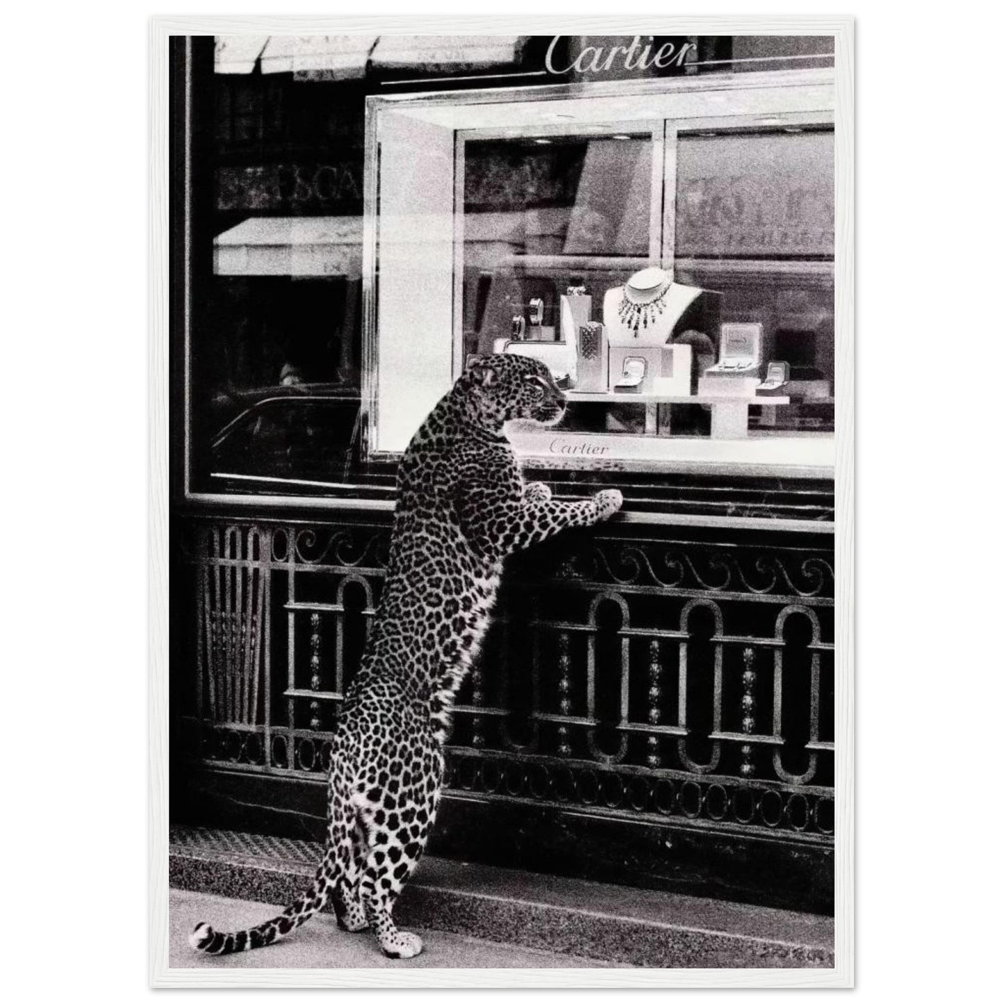 Cartier - Leopard - Poster