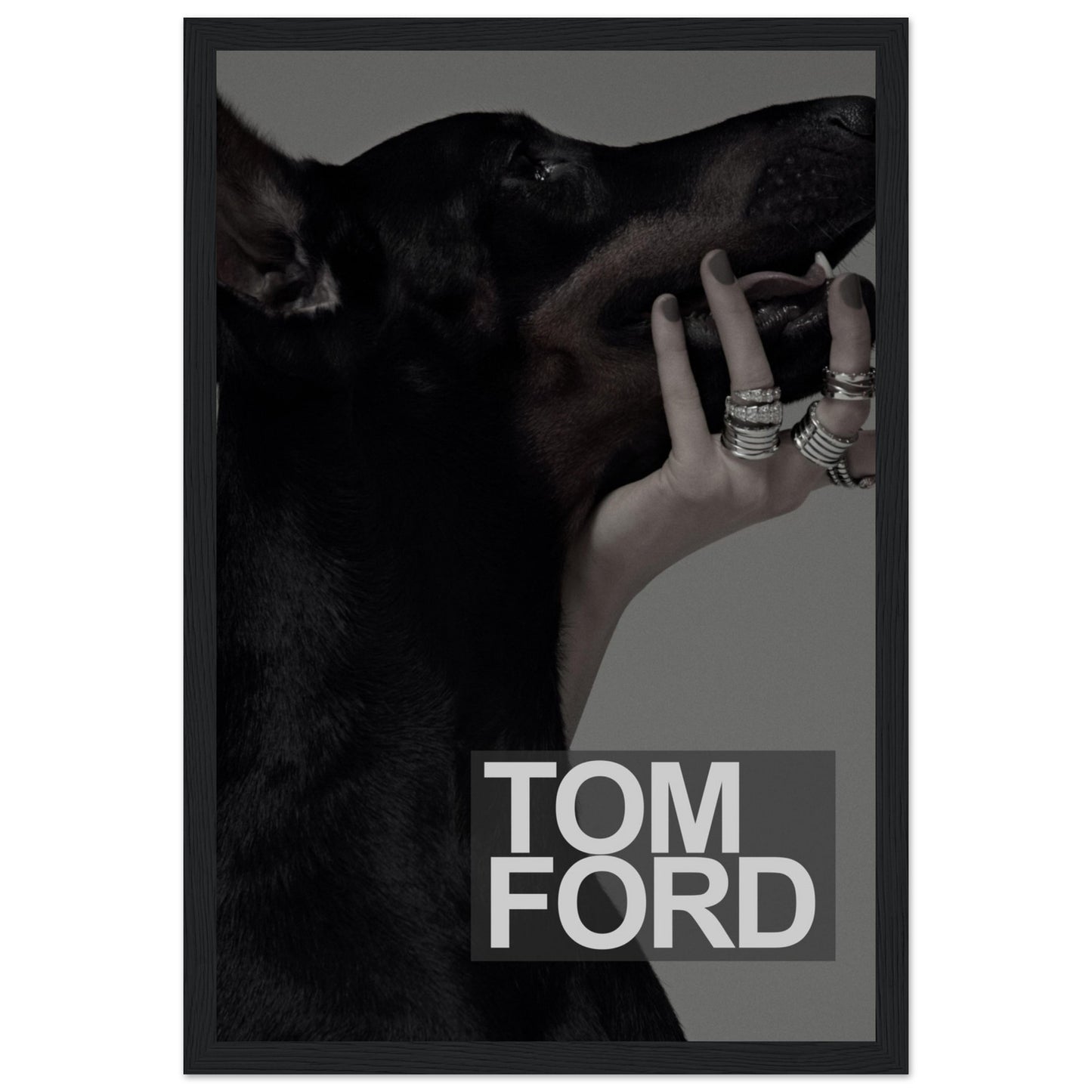 Tom Ford - Black Doberman - Poster