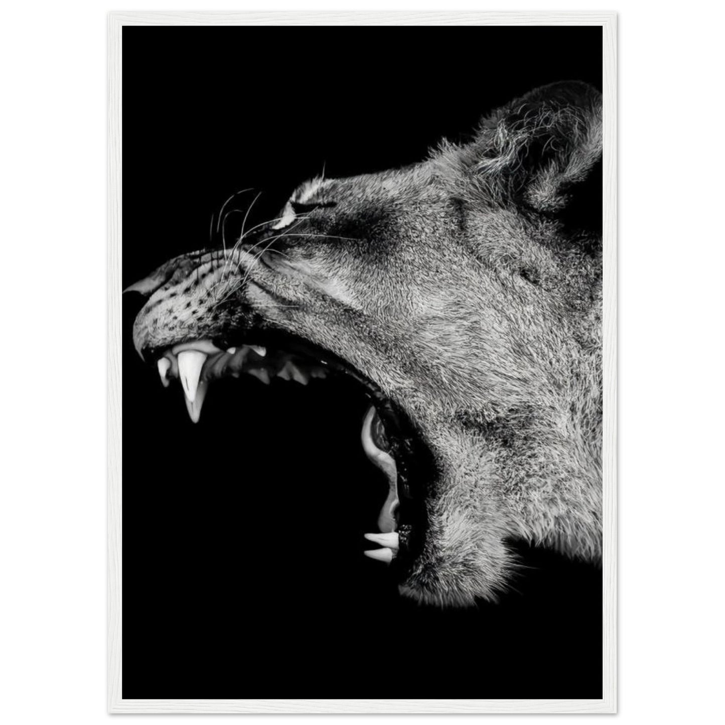 Lioness - Roaring - Poster