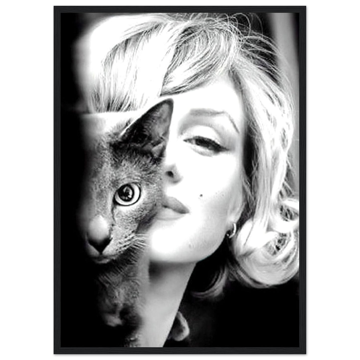 Marilyn Monroe mit ihrer Katze - Retro-Kunst - Poster