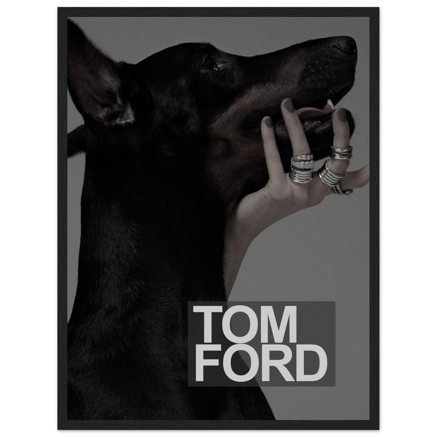 Tom Ford - Black Doberman - Poster