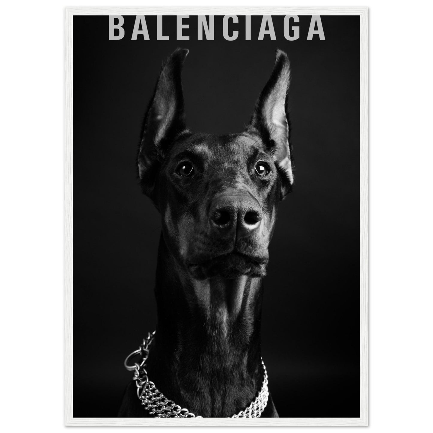 Balenciaga – Schwarzer Dobermann – Poster