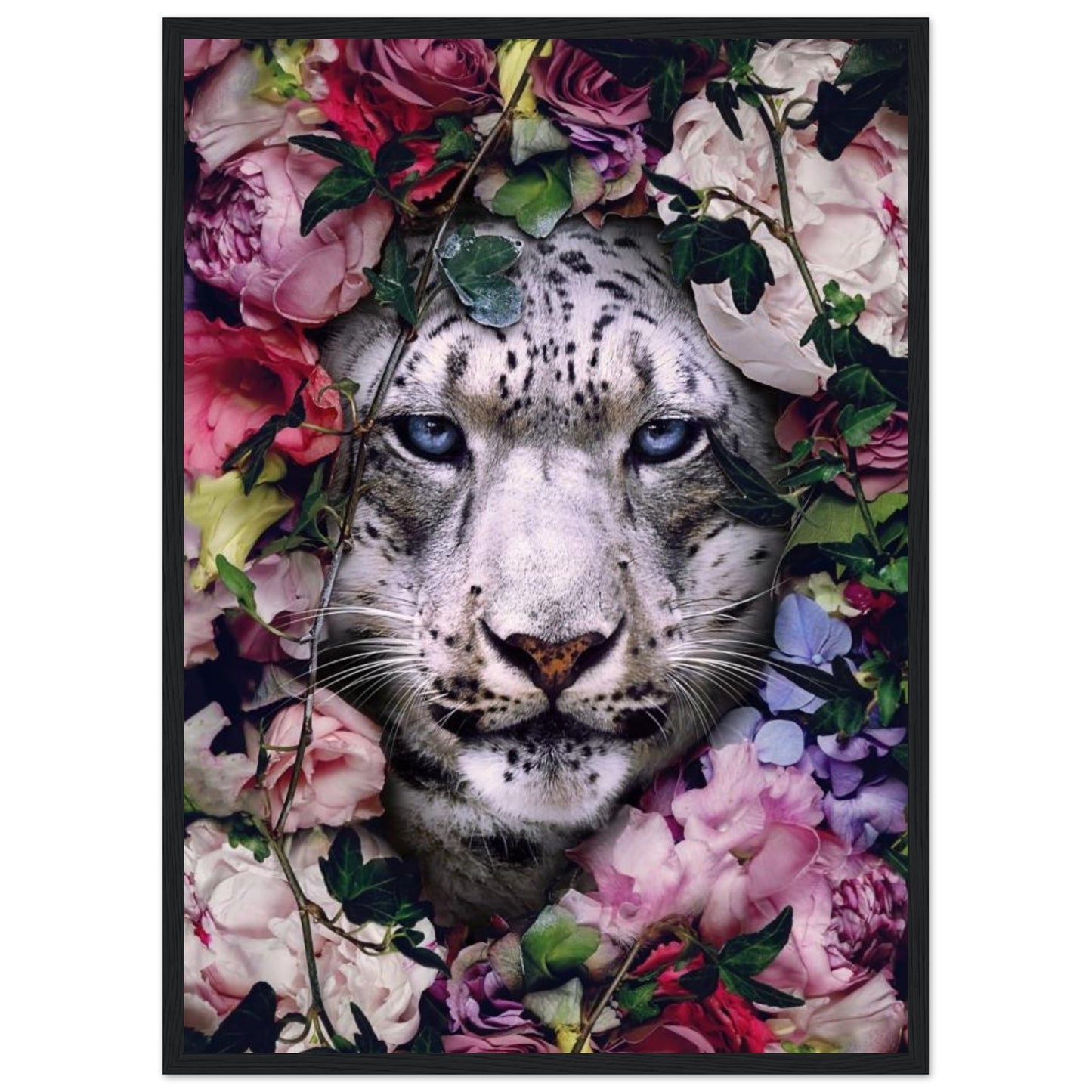 White Tiger - Animal - Poster