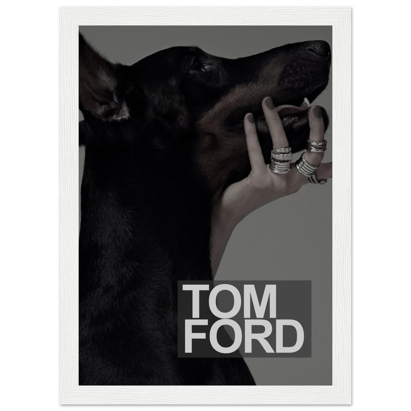 Tom Ford - Black Doberman - Poster