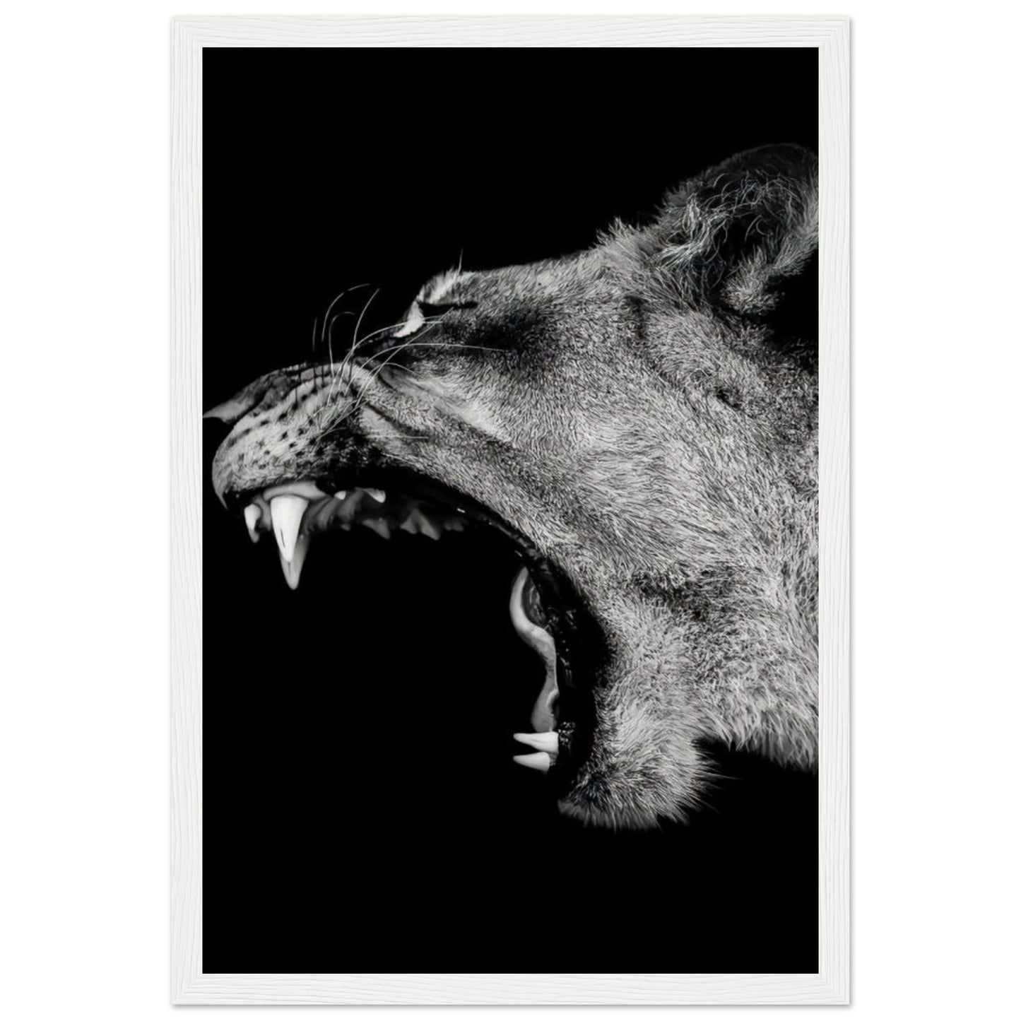 Lioness - Roaring - Poster