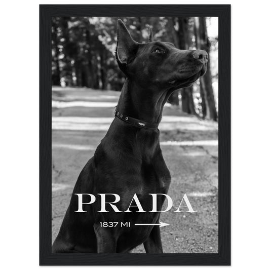 Prada - Dobermann - Poster