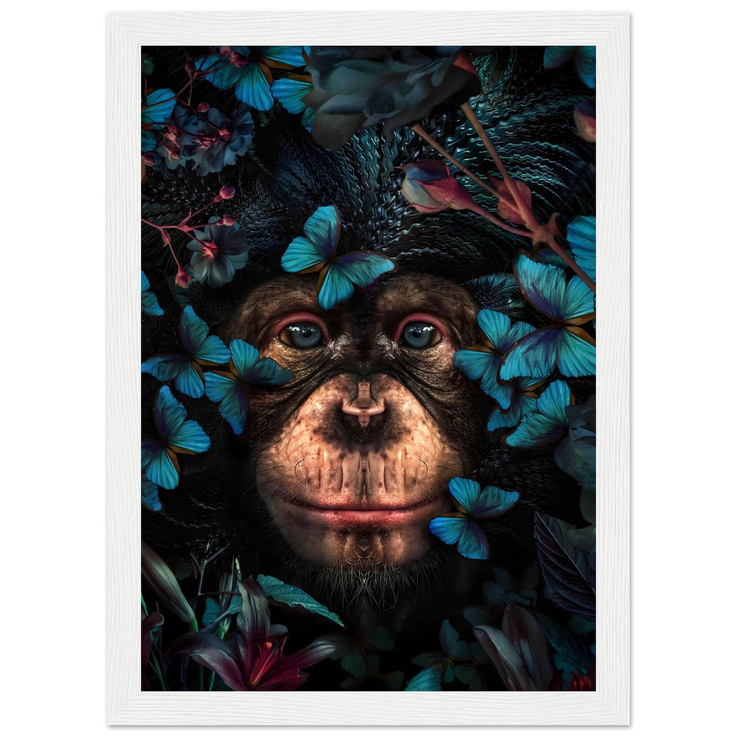 Monkey blue Butterflys - Animal - Poster