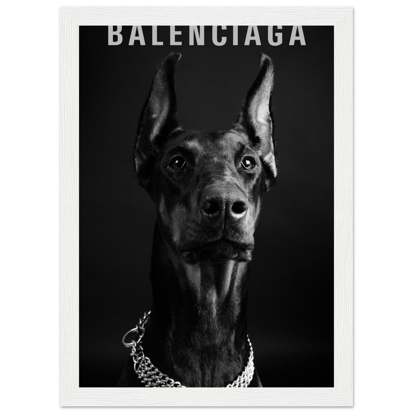 Balenciaga - Black Doberman - Poster