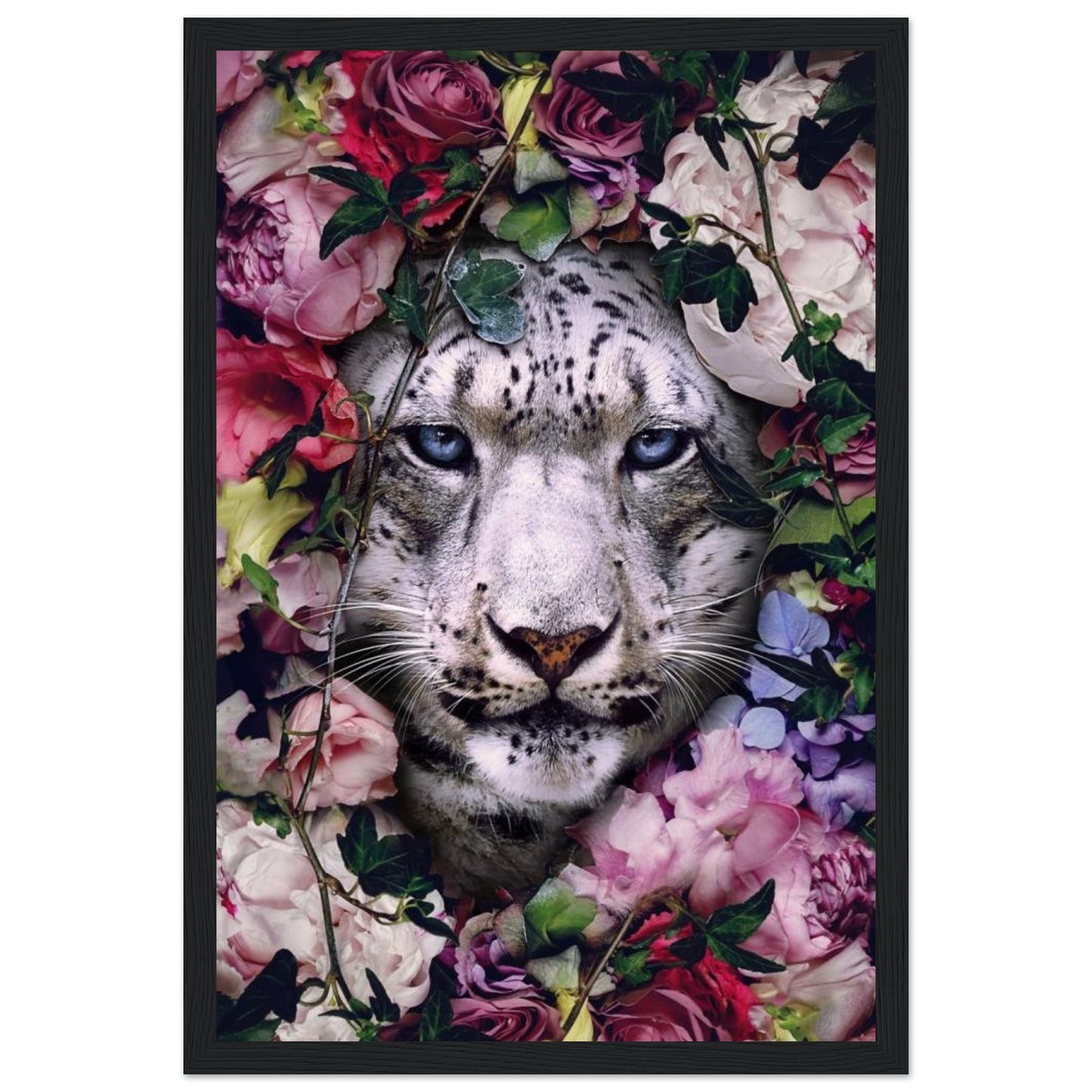 White Tiger - Animal - Poster