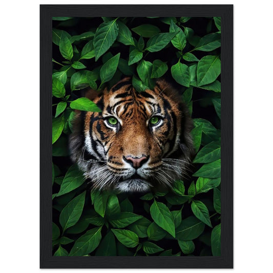 Tiger – In grünen Blättern – Poster