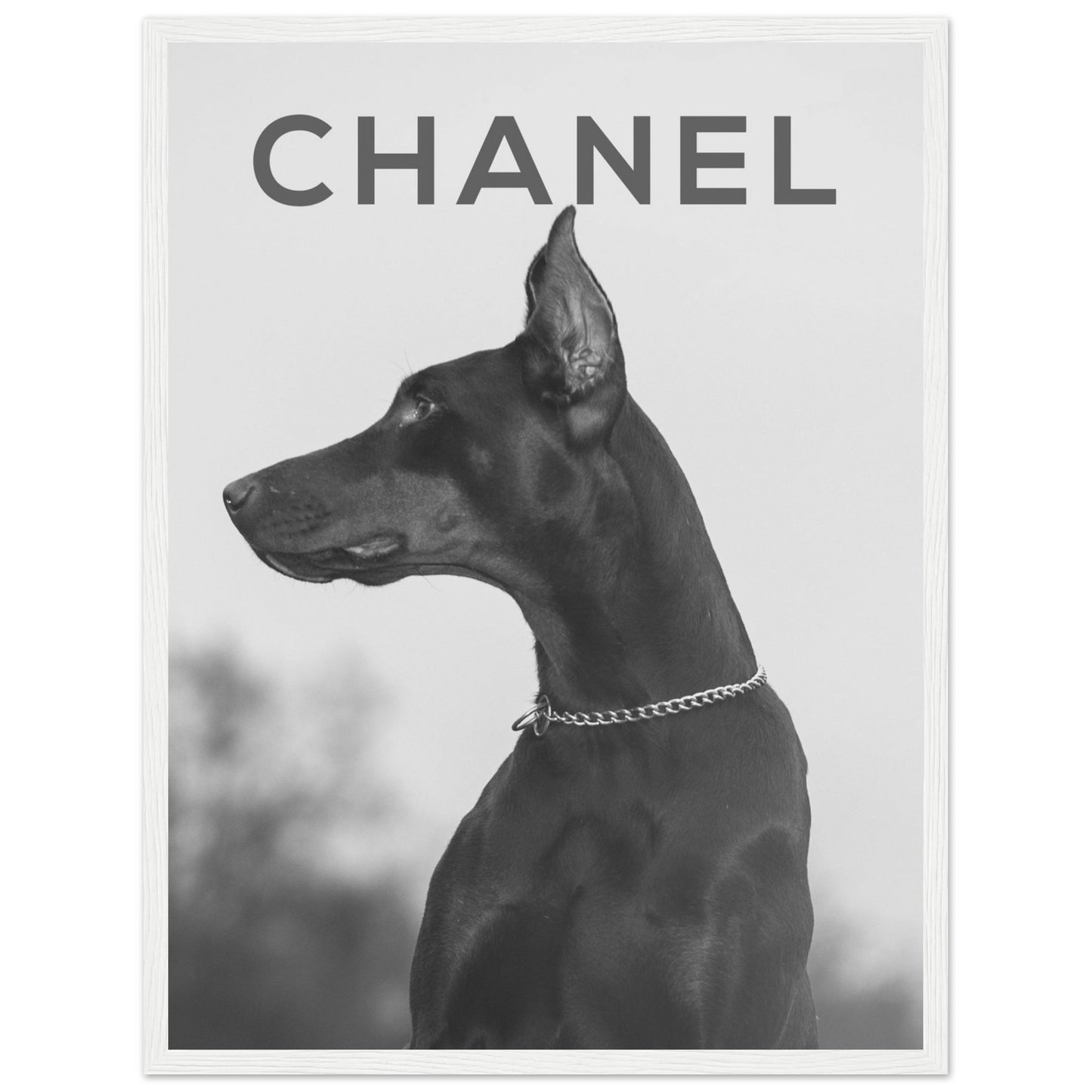 Chanel - Doberman - Poster